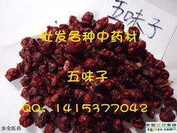 傳承千年的本草智慧 信業中藥材中草藥供應鏈解析