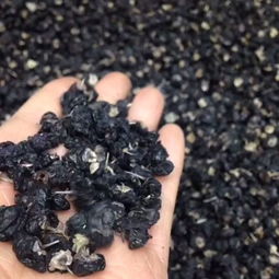 頂級柴達木盆地特大精品黑枸杞 天龍中藥行的自然饋贈