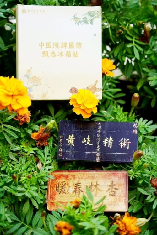 中草藥 千年的智慧與未來的希望