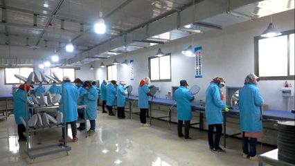 寧縣:穩就業 補強鏈 &ldquo;鄉村就業工廠&rdquo;為鄉村振興注入內生動力
