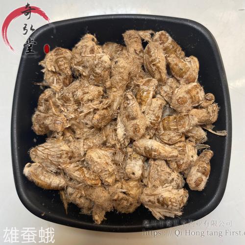 中藥材蠶蛾（雄蠶蛾）的市場價格與行情分析